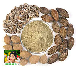 Triphala / Amalaki, Haritaki &  Bibhitaki